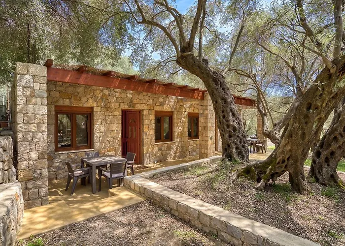 Stonehouse In Olives