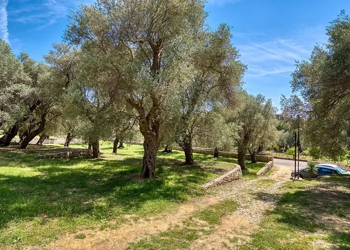 Stonehouse In Olives