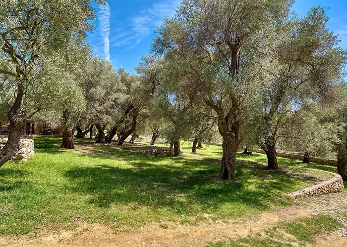 Stonehouse In Olives