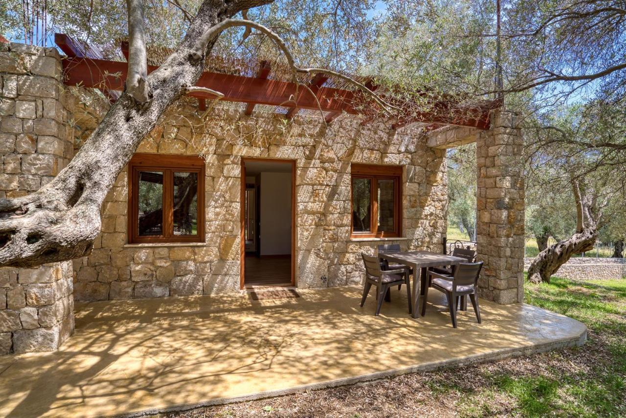 Stonehouse In Olives Daire