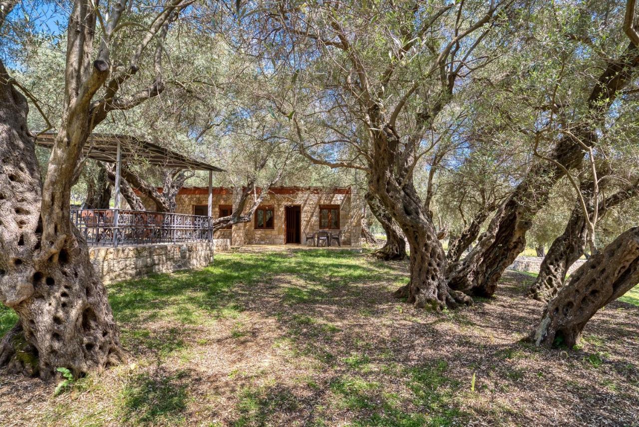 公寓 Stonehouse In Olives