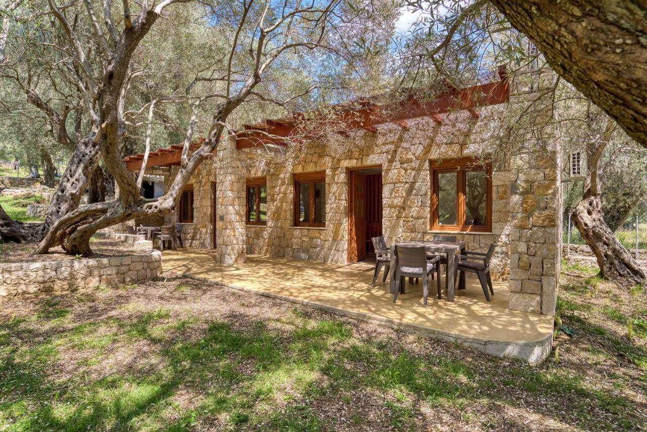 Stonehouse In Olives Daire