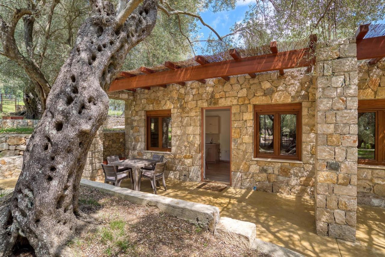 Stonehouse In Olives Daire *