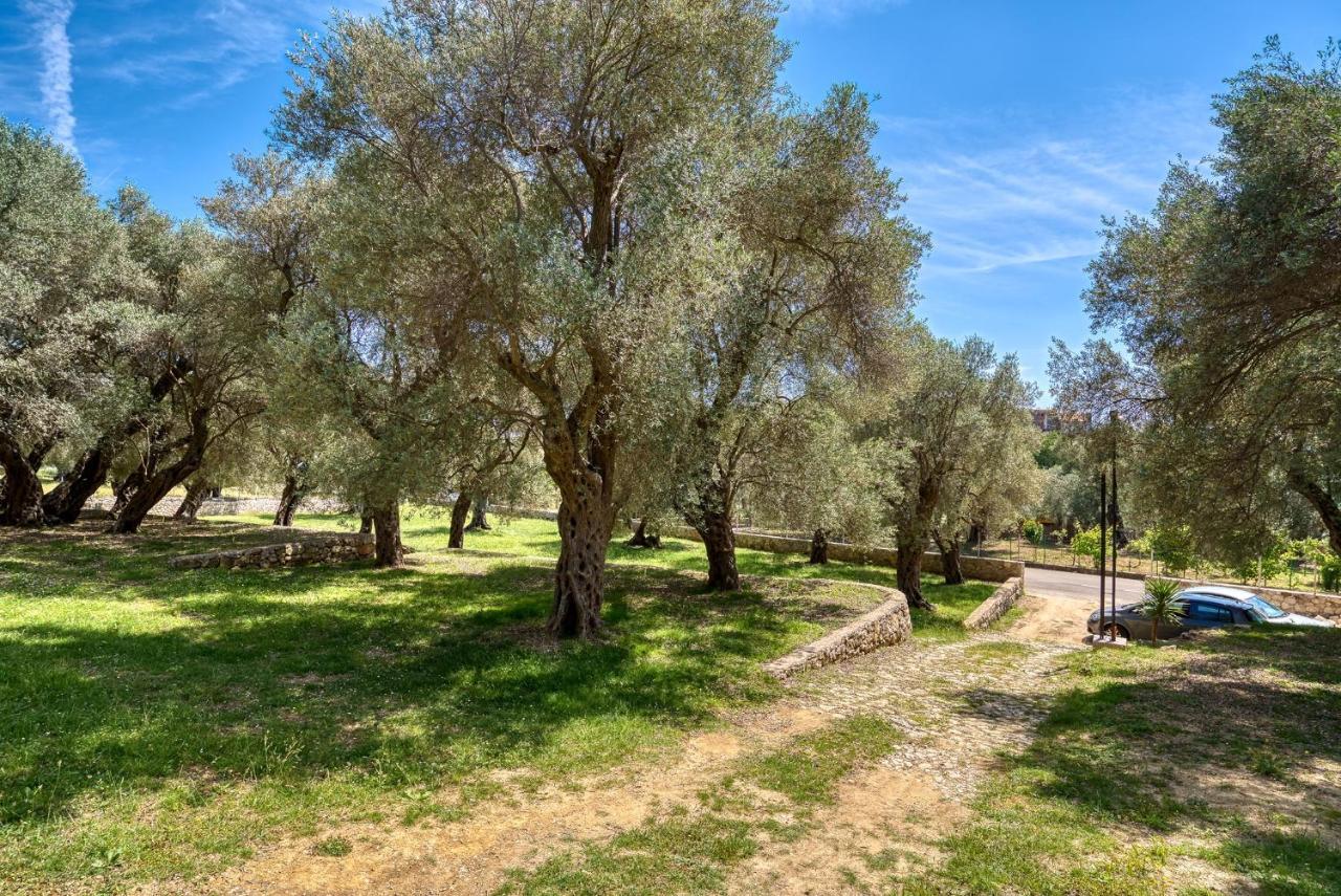 Stonehouse In Olives