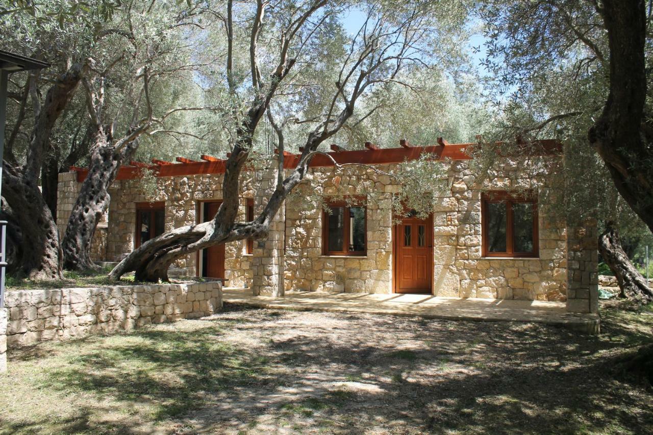 Stonehouse In Olives Daire *